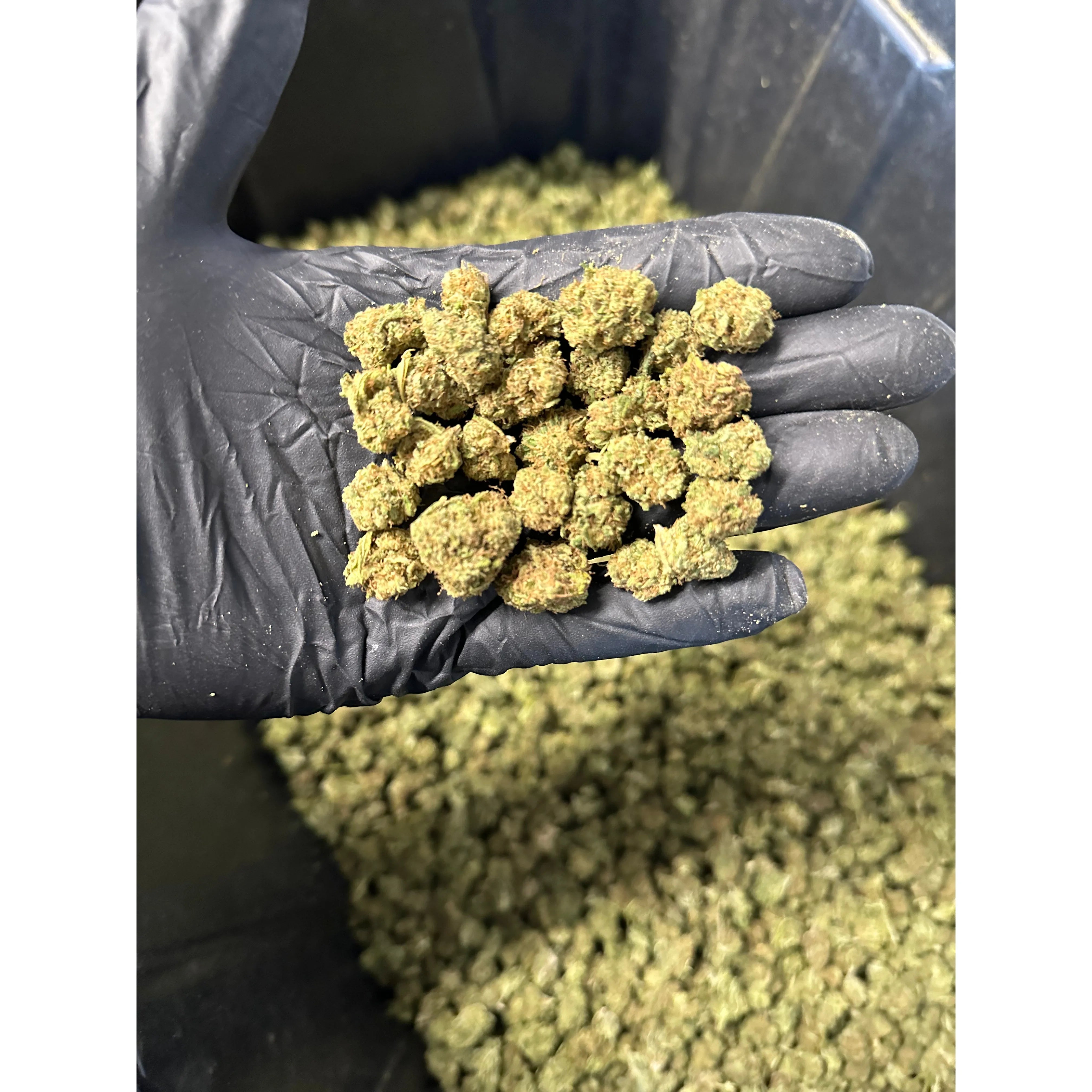 Lemon Tree Hemp Flower Smalls